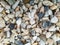 Raw rocks and minerals as natural stones background with crushed and rough material at a rough coast or rocky beach