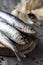 Raw sardines on a rustic wooden table