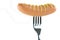 Raw sausage decorated with mustard pierced on a fork, isolated o