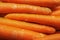 Raw scraped carrots in a pile - background - very orange