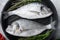 Raw sea bream or dorado raw fish on grill pan with ingredients on grey white textured background, top view, selective focus