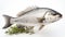 Raw seabass.One fresh sea bass. generative ai fish isolated on white background with clipping path