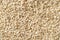 Raw sesame seeds macro background. Texture of organic benne grains closeup. White til for healthy food,  strengthening immunity