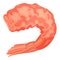 Raw shrimp tail icon, cartoon style