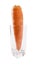 Raw single Carrot in glass isolated