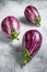 Raw small purple Asian eggplants. White background. Top view