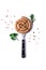 Raw spiral barbecue sausage ,on a fork, on a white background, with spices and herbs, vertical, no people,