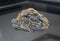 Raw stibnite rock stone, antimonite, a sulfide mineral.