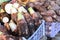 Raw taro in basket at market, tuber crops