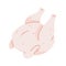Raw turkey, whole fresh chicken icon, isolated vector illustration, cooking ingredient, uncooked meat
