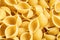 Raw uncooked dry Conchiglioni italian pasta.