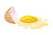 Raw Uncooked Egg with Cracked Brown Shell Vector Illustration