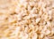 Raw uncooked italian orecchiette pasta blur defocused