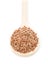 Raw, unprocessed linseed or flax seed in wooden spoon