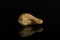 Raw unsalted cashew isolated on black glass