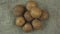 Raw unwashed potatoes pile rotate isolated on rough sacking material