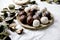 Raw vegan coconut chocolate candy balls over white with eucalyptus branches