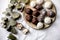 Raw vegan coconut chocolate candy balls over white with eucalyptus branches. Flat lay