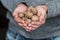 Raw walnuts in male hands