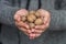 Raw walnuts in male hands
