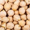 Raw white chickpeas close up