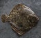 Raw whole flounder fish on dark stone background, top view.