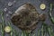 Raw whole flounder fish with rosemary on dark stone background. Creative layout made of fish, top view