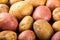 Raw whole washed organic potatoes