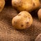 Raw whole washed organic potatoes