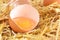 Raw yellow egg yolk in eggshell