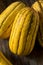 Raw yellow Organic Delicata Squash