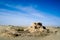 Rawak Stupa under blue sky