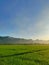 Ray of Light of Sunrise with Foggy Hills and Green Ricefields