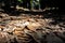 A ray of sunshine hits the many leaves piled in a park driveway.