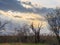 The rays of the setting sun shine through the clouds. In the foreground, dry branches of trees