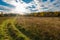 The rays of the sun illuminate the road overgrown with green grass among dry grass