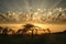 Rays of sun shine through an amazing cloud behind a lonely tree silhouette