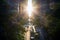 Rays of sunlight shine on the cars and buildings in New York City