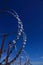 Razor Barbed wire against blue sky