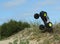 RC Nitro monster truck action