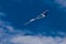 RC soaring plane on blue sky