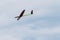 RC soaring plane on blue sky