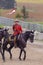 RCMP Musical Ride in Ancaster, Ontario