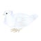 Rd cute small ornamental white dove on a white background vintage vector illustration editable