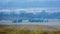 Re-enactors on the Brill battlefield for the reconstruction of the 1812 battle of the Berezina river , Belarus.