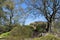 Reaching the peaks of Hardcastle Craggs, in Hebden Bridge