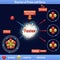 Reaction of Proton with Boron