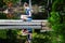 Reading on a dock