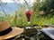 Reading in garden. Straw hat, open book, glass of ripe berries. Mountains backround