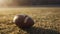 Ready for the kickoff, Close-up of an American football on the field